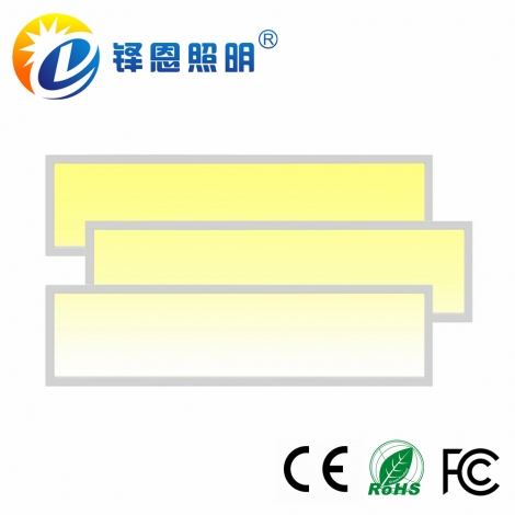 3012双色温面板灯