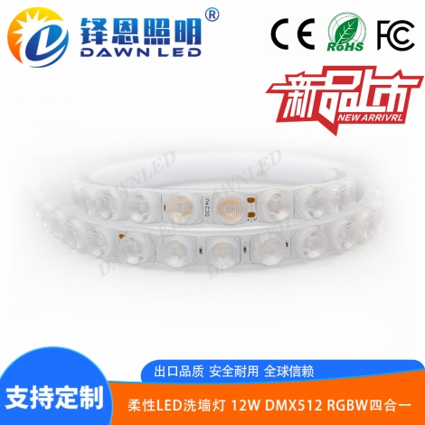 LED洗墙灯 12W DMX512 RGBW