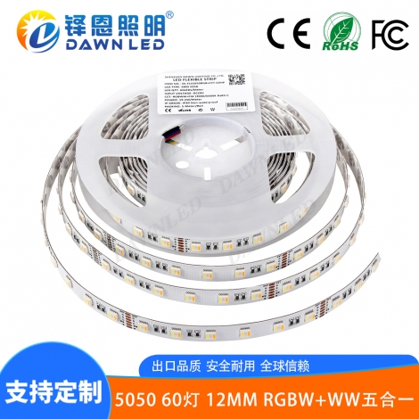 5050 60灯DC12V RGB+CCT(5in1)