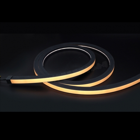 LED霓虹灯带 正发光16x16黑面 DMX512双色