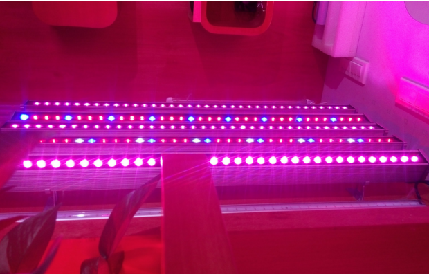 led硬灯条 led硬灯条