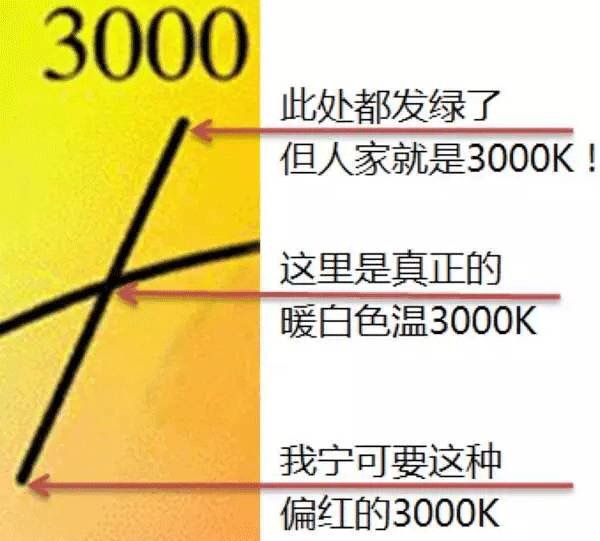 LED软灯条 LED软灯条